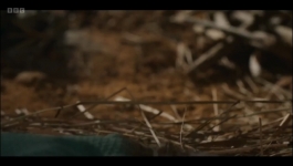 His Dark Materials - Season 03 Episode 08